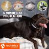 Natural Flea Tick Collar for Dogs 6 Months Control of Best Prevention Safe Treatment Anti Fleas and Ticks Essential Oil Repellent 1 Pack 2 Count